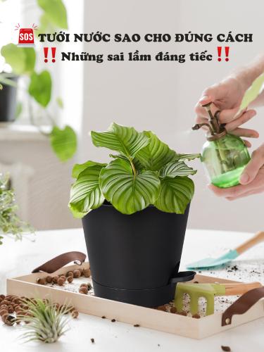 TƯỚI NƯỚC SAO CHO ĐÚNG CÁCH? 5 SAI LẦM ĐÁNG TIẾC