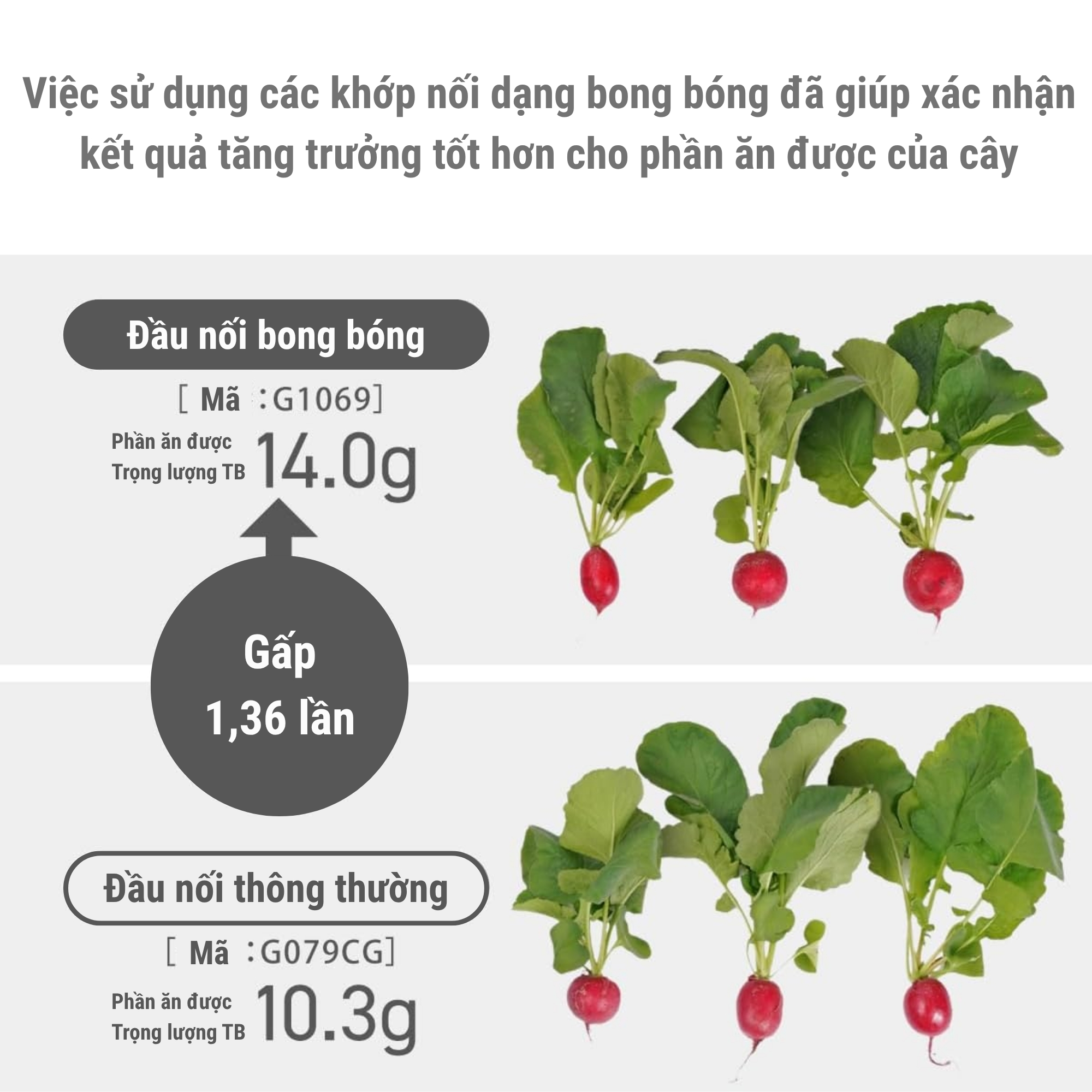 Đầu Nối Tạo Bọt Khí Takagi G1069 - Giải Pháp Tưới Tiêu Và Làm Sạch Đột Phá Từ Nhật Bản