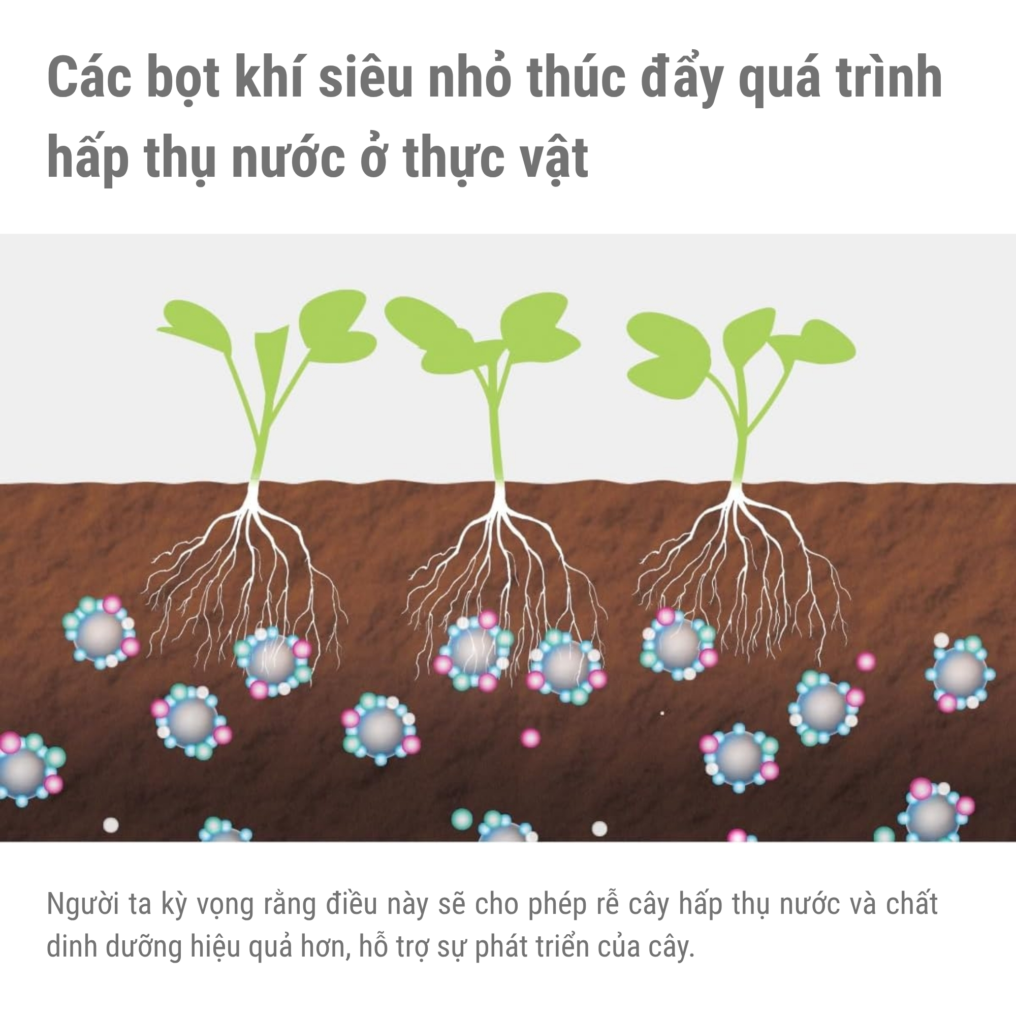 Đầu Nối Tạo Bọt Khí Takagi G1069 - Giải Pháp Tưới Tiêu Và Làm Sạch Đột Phá Từ Nhật Bản